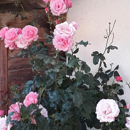 Ausser Rossmoos * Alpbach