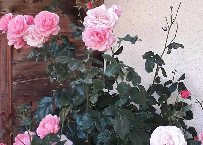 Ausser Rossmoos * Alpbach