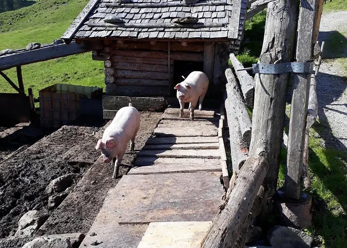 Ausser Rossmoos * Alpbach