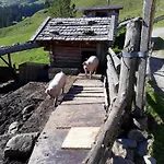 Ausser Rossmoos * Alpbach