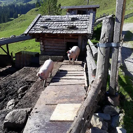 Ausser Rossmoos * 알프바취