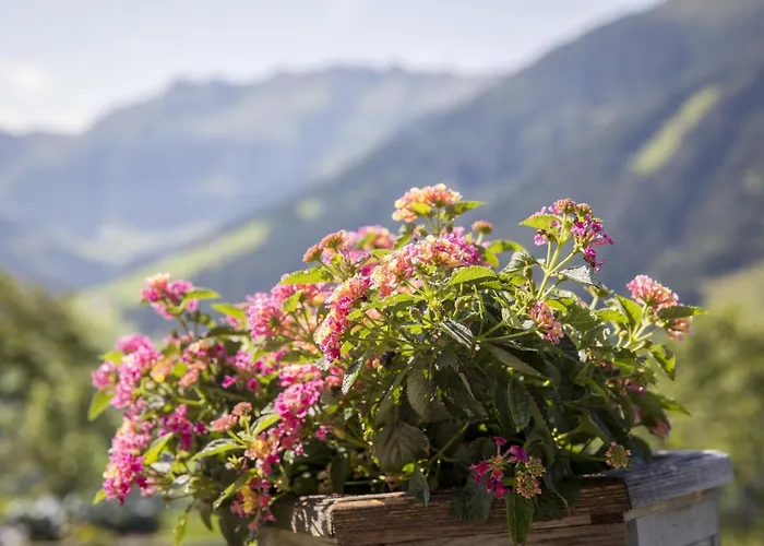 Ausser Rossmoos Alpbach