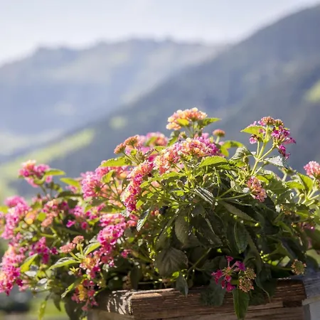 Ausser Rossmoos Alpbach